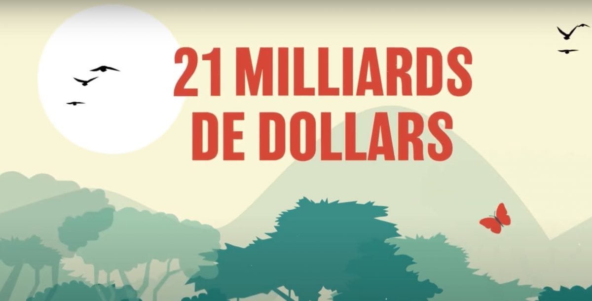 Film animation forêt