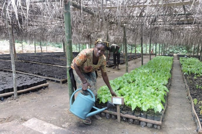 98c5615d-a124-4552-b6f3-c6e59bab0de8