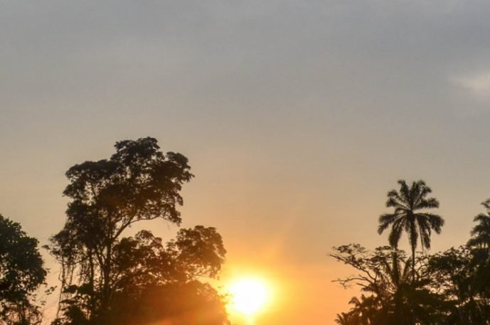 coucher-soleil-foret