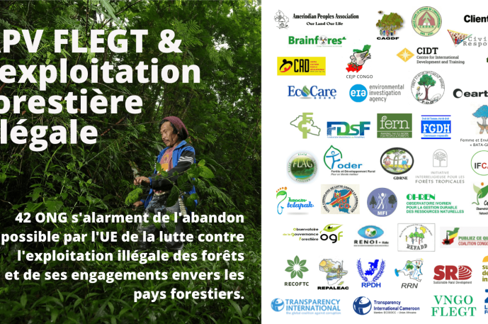 exploitation-forestiere