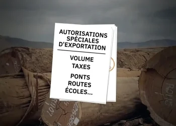 exportation bois Congo