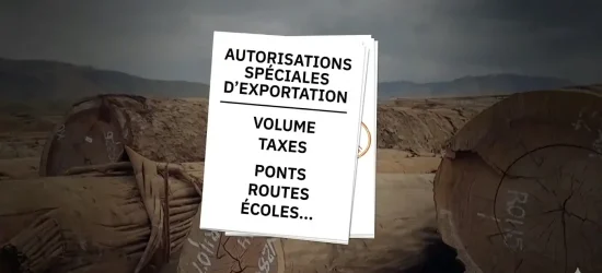 exportation bois Congo