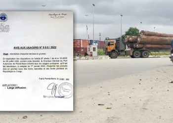 exportation grumes Congo PNR