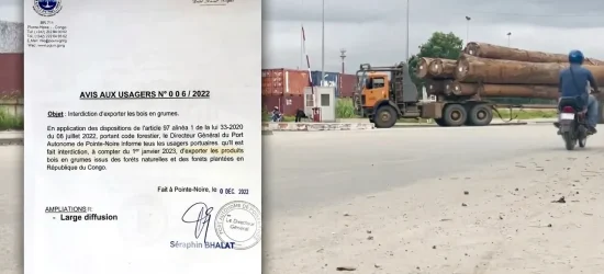 exportation grumes Congo PNR
