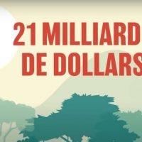 Film animation forêt