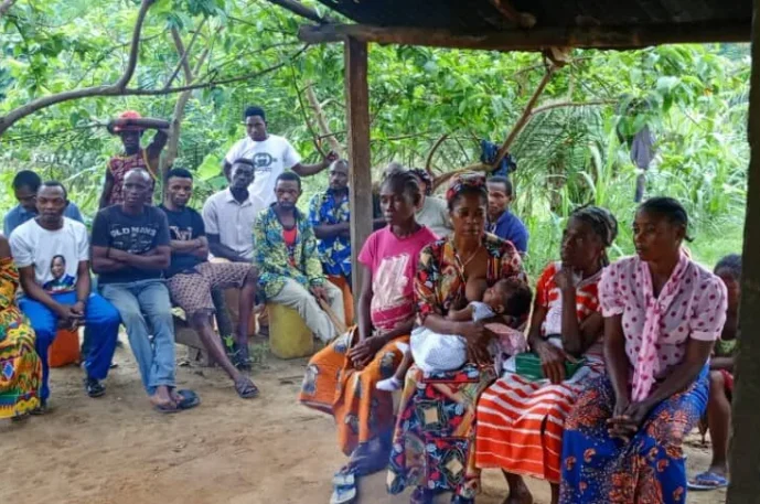 Gouvernance forestière