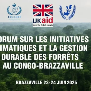gouvernance forestière au Congo