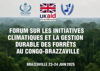 gouvernance forestière au Congo