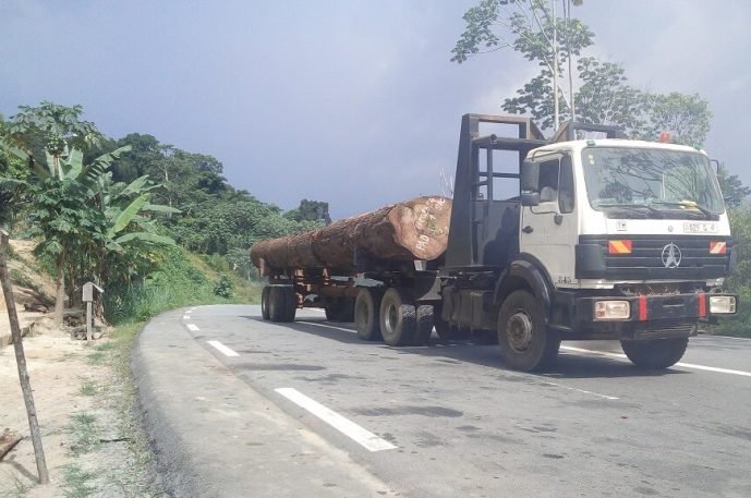 gouvernance-foret-grumier