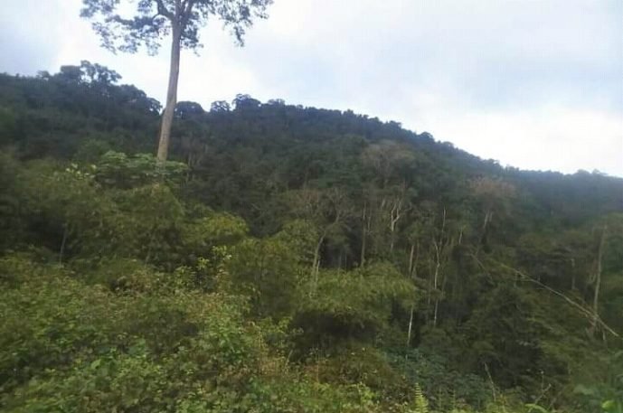 photo-2021-12-08-04-14-34_2