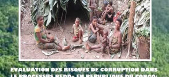 Rapport corruption REDD