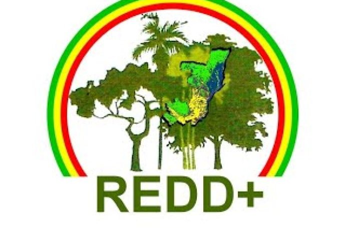 redd-cg